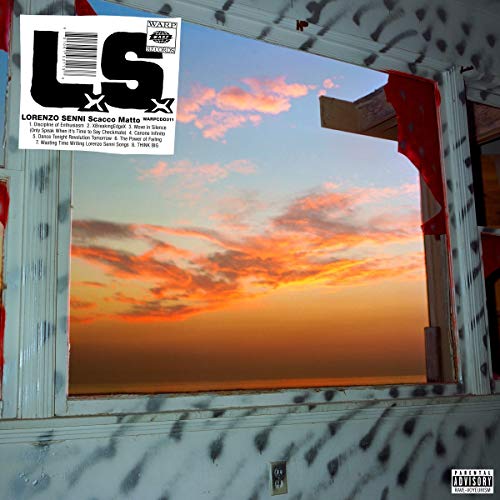 Vinyl record cover with large white "LS" logo and sunset view.