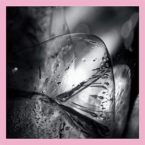 The image is a black-and-white close-up photograph of a melting ice cube, surrounded by a pink border. Alt text: Black and white photo of melting ice cube in a pink border.