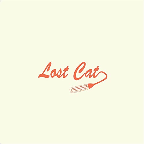 Lost Cat" text with a stylized fork and spoon illustration.