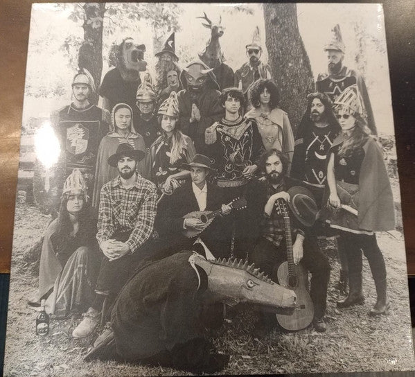 Black and white vinyl record cover featuring a group in costume outdoors.
