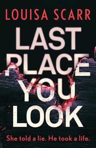 Book cover: “Last Place You Look” with cracked wall and red text.