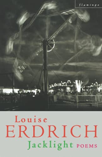 Book cover: blurred carnival ride with author name Louise Erdrich.