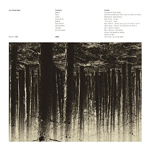 Vinyl record cover with a dark, textured, abstract forest image.