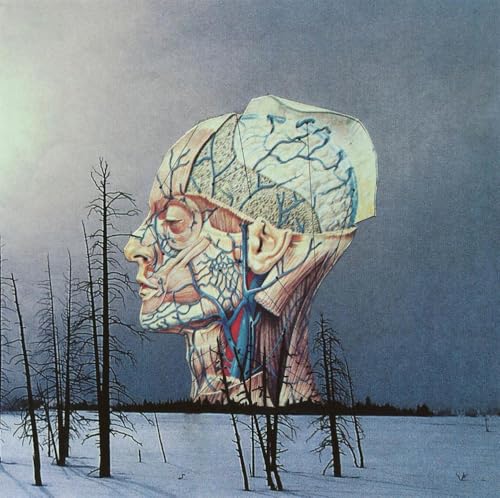 Album cover: anatomical head illustration in a snowy, barren landscape.