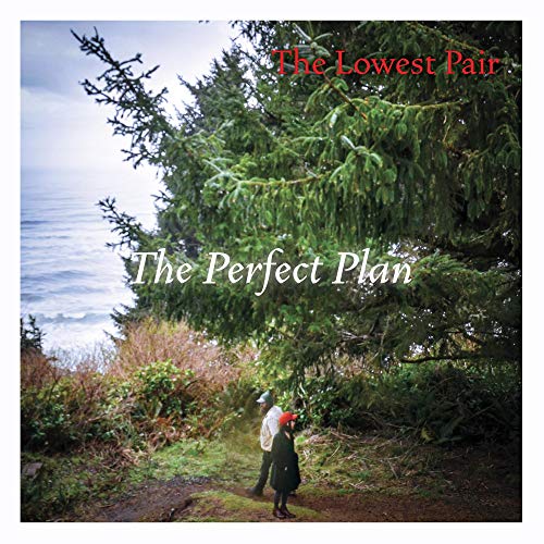 Vinyl album cover featuring a couple standing by a tree near the ocean.