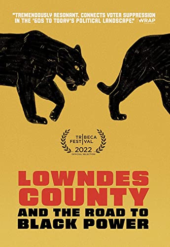 DVD cover with two black panthers above bold red text: "Lowndes County.