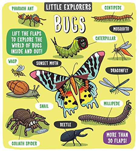Colorful illustrated book cover featuring various insects and the title "Bugs".