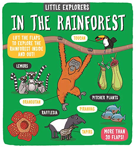 Rainforest animals—orangutan, lemurs, toucan—illustrated on a children’s lift-the-flap book cover.