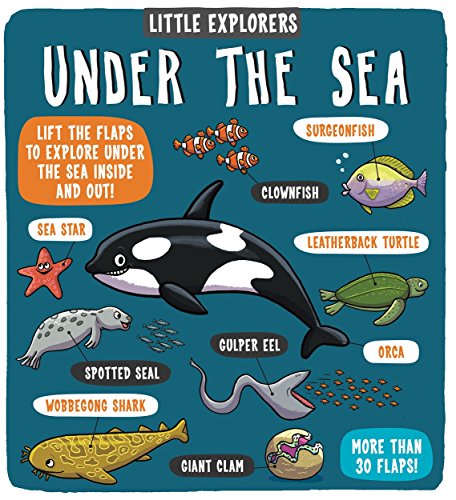 Book cover featuring an orca and various sea creatures with labels on a background.