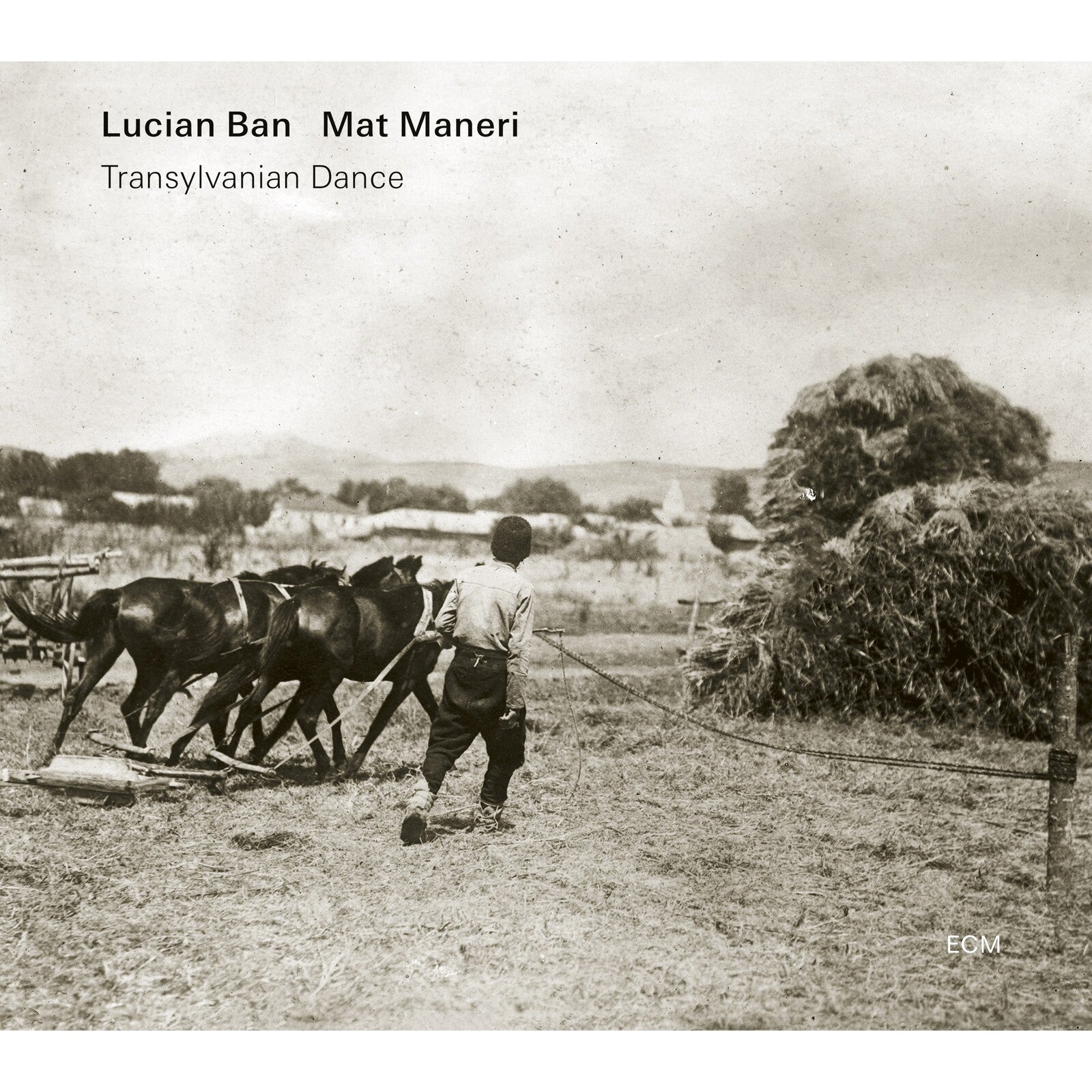 Black and white photo of a man leading horses in a field.