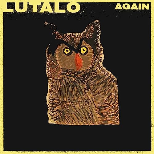 Vinyl record cover featuring a textured illustration of an owl.