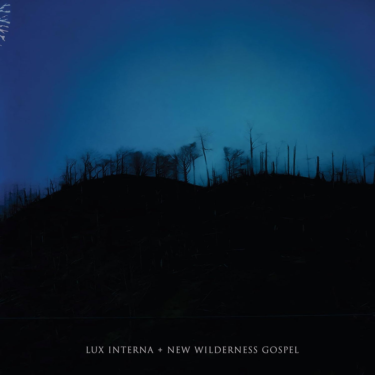 Dark blue album cover with silhouetted trees and text at bottom.
