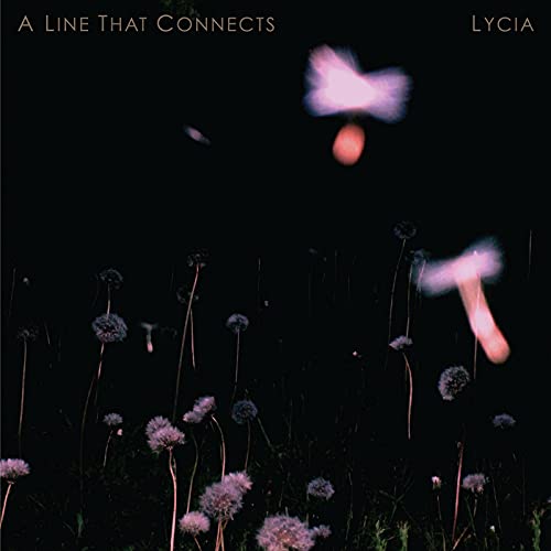 Dark album cover with blurred, glowing floral shapes and text.