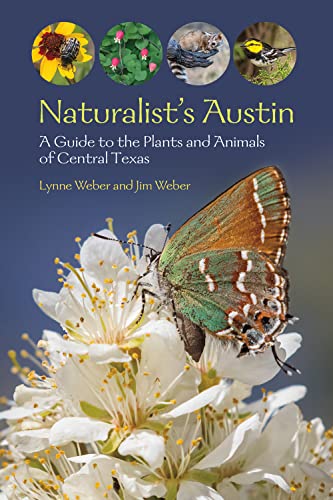 Book cover featuring plants, animals, and a butterfly in Texas.