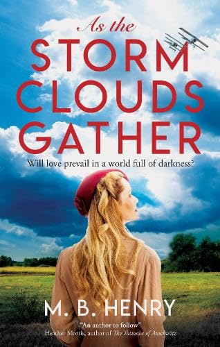 Book cover: woman in a field, biplane in stormy sky.