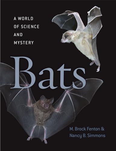 Book cover featuring two bats in flight against a dark background.