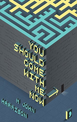 Book cover with a blue isometric maze and stacked title text.