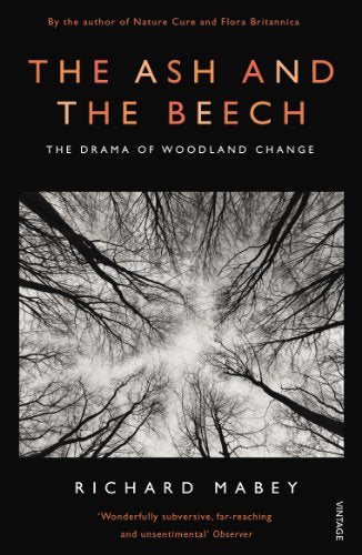 Book cover: black background, tree branches reaching towards a bright sky.