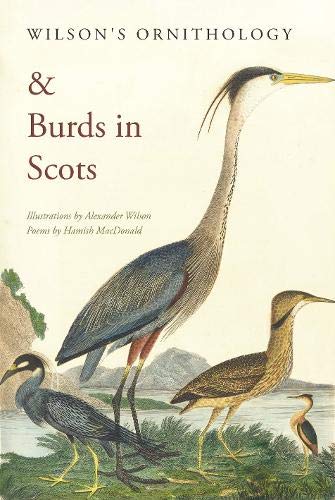 Book cover featuring illustrations of herons and the title “Wilson’s Ornithology.”