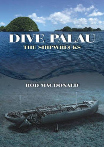 Book cover depicting a sunken ship in blue ocean waters.