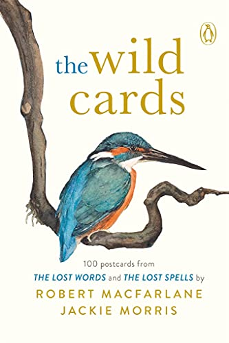 Box set of 100 postcards featuring a kingfisher on a branch.