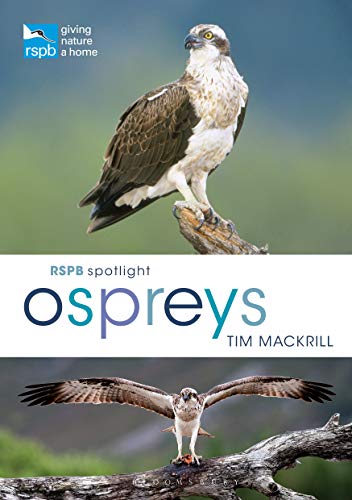 Book cover featuring an osprey perched on a branch, wings outstretched.