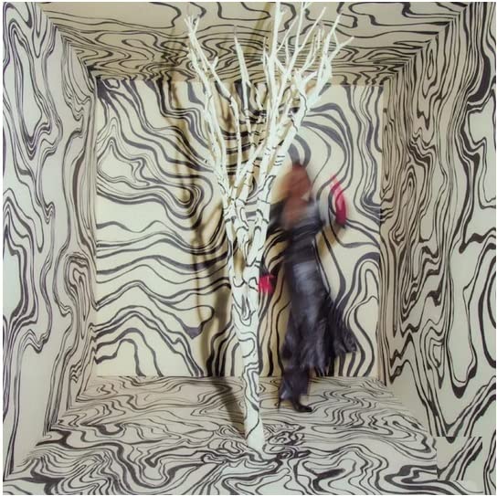CD cover art: woman in a distorted, abstract, black and white room.