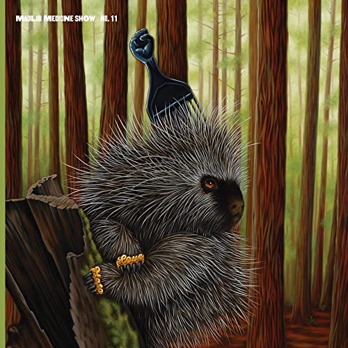 A porcupine with a black fist-shaped hair pick in a redwood forest setting.