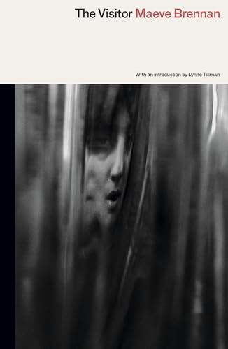 Book cover: blurred face partially obscured by vertical, dark shapes.