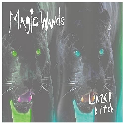 Album cover featuring two black panthers with brightly colored eyes.