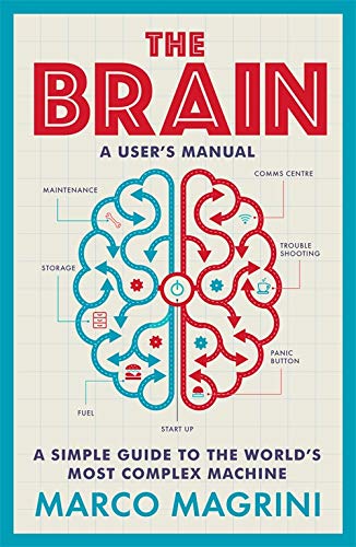 Book cover: "The Brain" with illustrated brain diagram in red and blue.