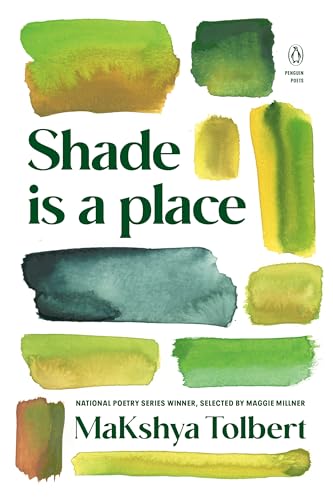 Book cover: "Shade is a place" with abstract watercolor brushstrokes.