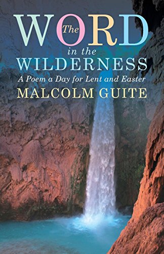 Book cover with waterfall background and title “Word in the Wilderness.”