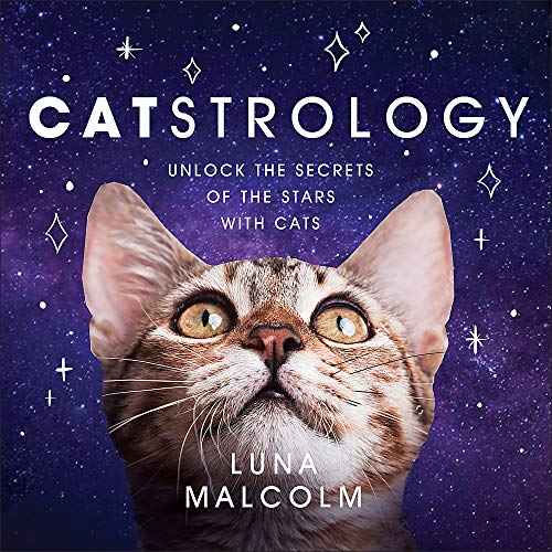 Book cover featuring a close-up of a tabby cat against a starry background.