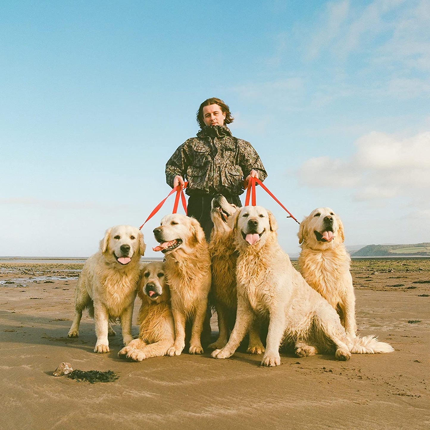 CD cover: Man holding leashes of five golden retrievers on a beach.