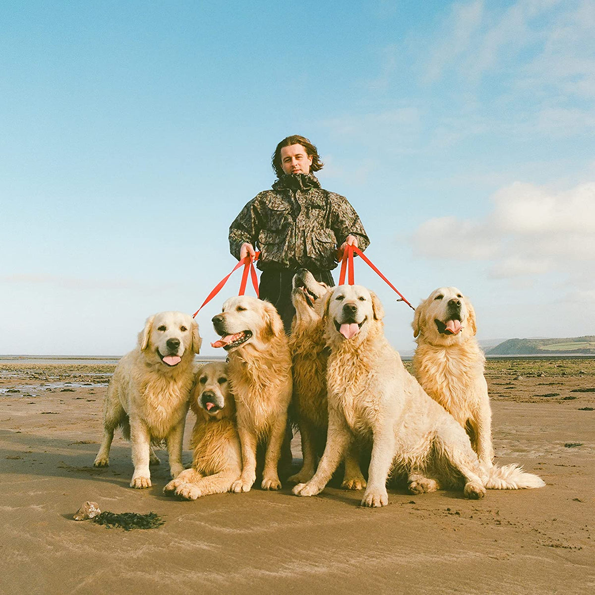CD cover: Man holding leashes of five golden retrievers on a beach.