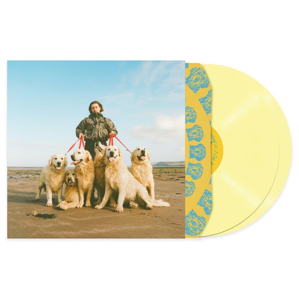 A man stands with five golden retrievers on leashes on a sandy beach.