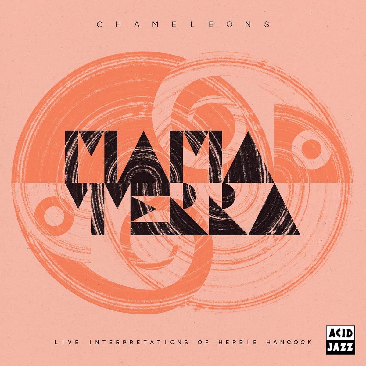CD cover for “Mama Terra - Chameleons” with abstract geometric text.
