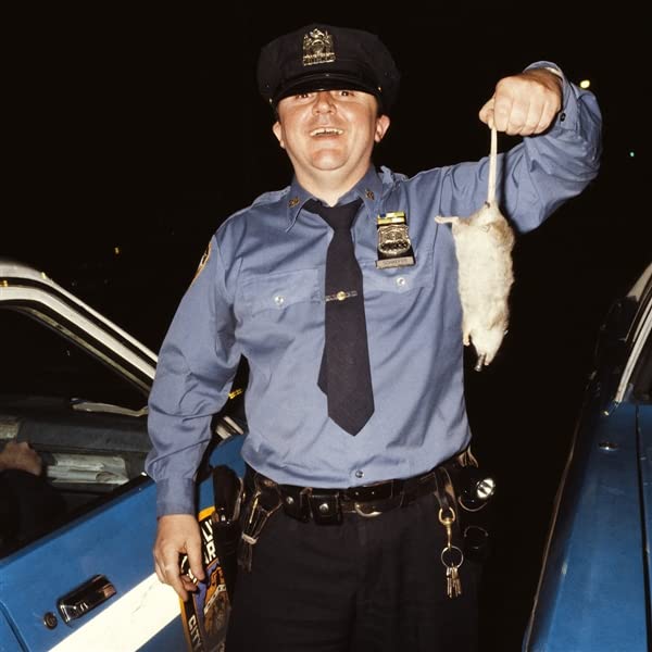 Police officer holding a dead rat in front of a patrol car.