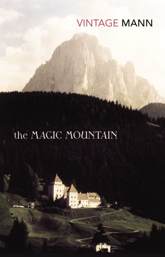 "Book cover of 'The Magic Mountain' featuring a large mountain and a castle."
