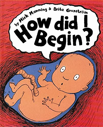 Book cover: fetal illustration inside a womb, with title “How did I Begin?”