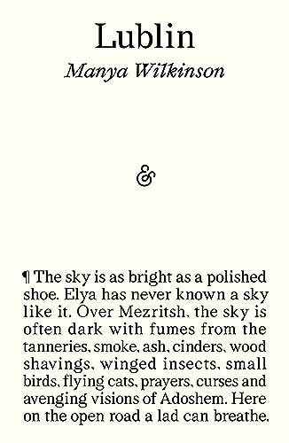 Book cover titled Lublin by Manya Wilkinson with a short excerpt of text.