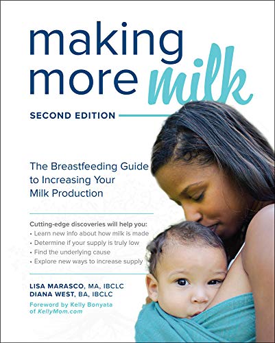 Book cover showing a mother holding her baby in a teal wrap.
