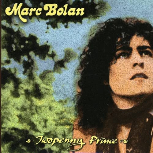 Album cover featuring a portrait of Marc Bolan against a backdrop of green trees.