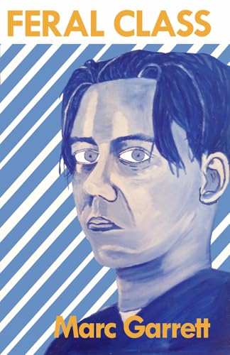 Book cover: painted portrait of a young man with blue and white stripes.