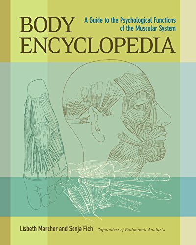 Book cover: “Body Encyclopedia” with anatomical drawings of muscles and head.