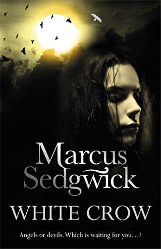 Book cover with a woman's face, a bright moon, and silhouettes of flying birds.