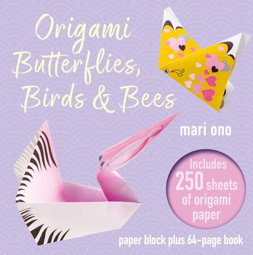 Origami kit with colorful paper butterflies, birds, and 250 sheets.