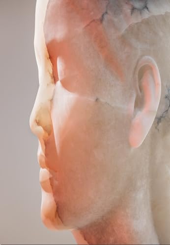 Close-up of a translucent, marble human head in profile.