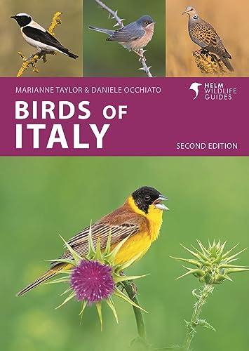 Book cover for Birds of Italy featuring four different bird species on a green background.